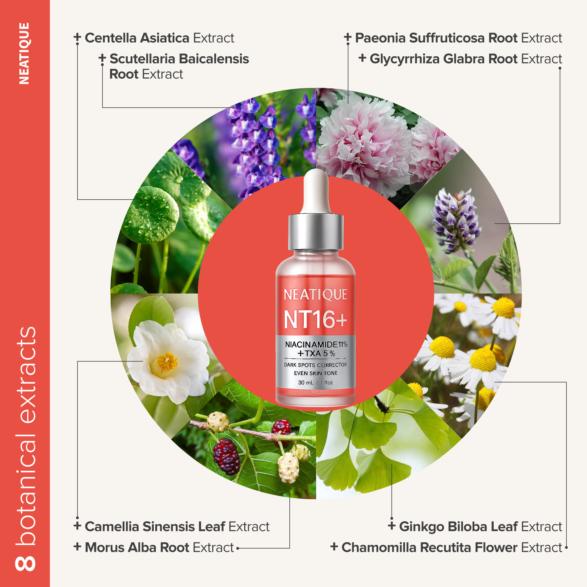 Best Niacinamide Serum 11% + Tranexamic Acid Serum 5% 30mL / 1 fl oz | Neatique - Image 5